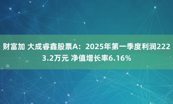 财富加 大成睿鑫股票A：2025年第一季度利润2223.2万元 净值增长率6.16%