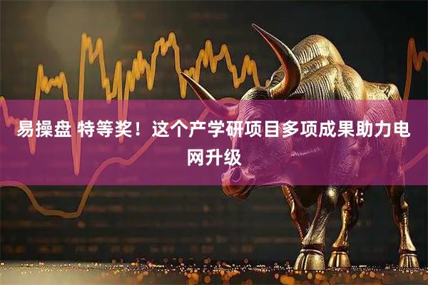 易操盘 特等奖！这个产学研项目多项成果助力电网升级