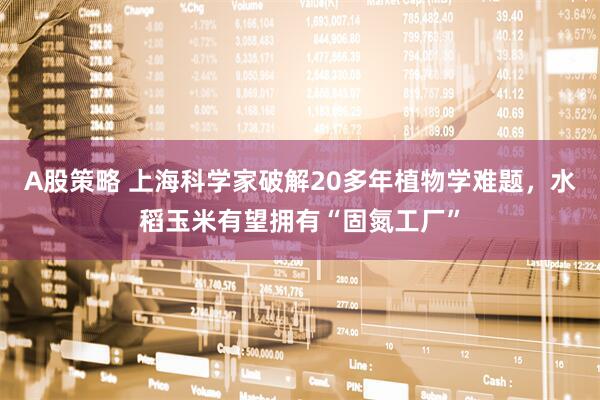 A股策略 上海科学家破解20多年植物学难题，水稻玉米有望拥有“固氮工厂”
