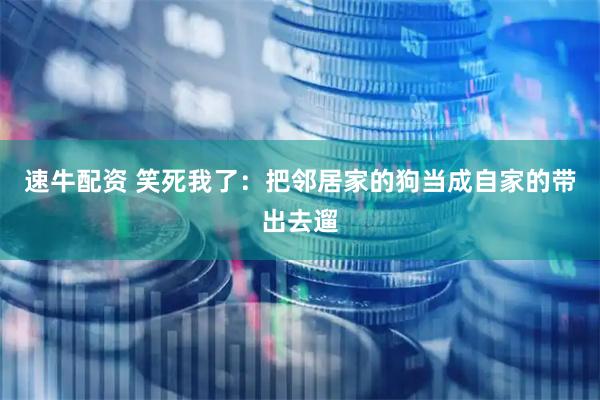 速牛配资 笑死我了：把邻居家的狗当成自家的带出去遛