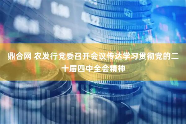 鼎合网 农发行党委召开会议传达学习贯彻党的二十届四中全会精神